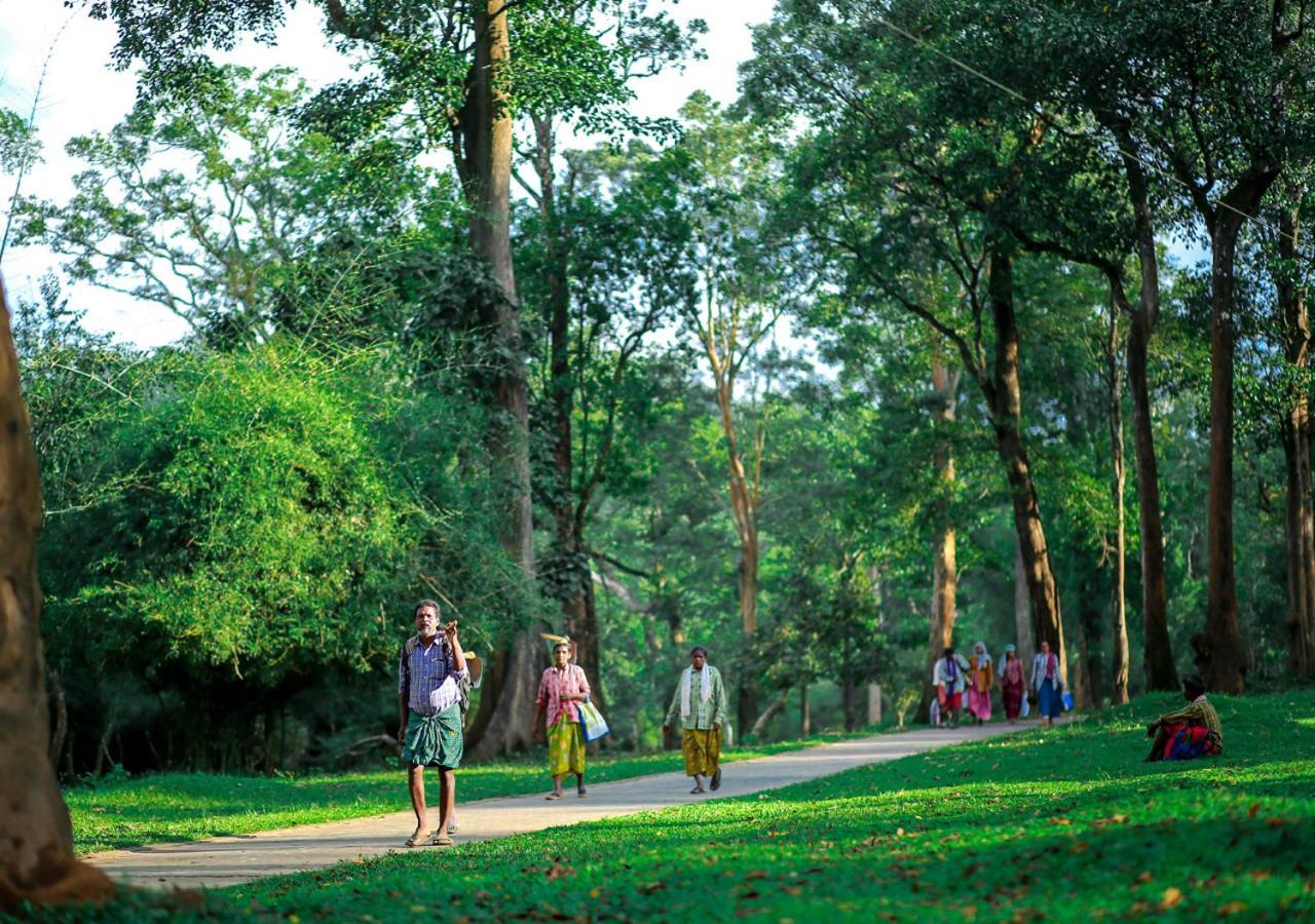 Tusker Inn Wayanad Forest Villa By Voye Homes Екстериор снимка
