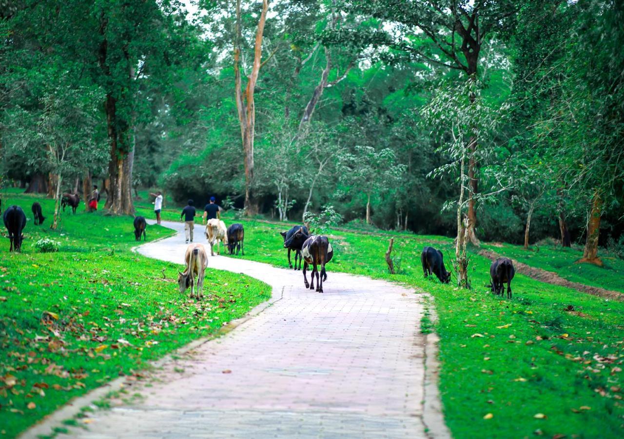 Tusker Inn Wayanad Forest Villa By Voye Homes Екстериор снимка