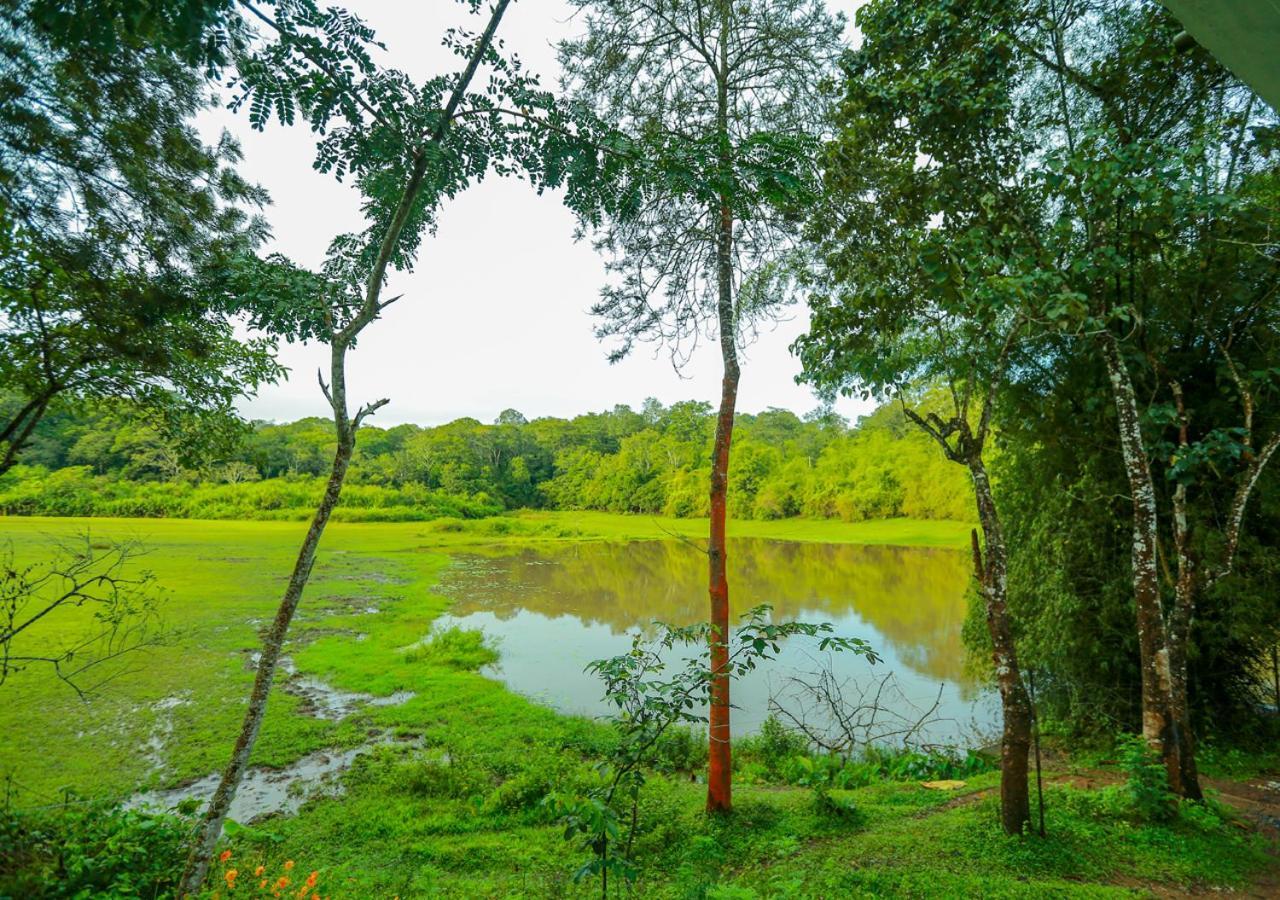 Tusker Inn Wayanad Forest Villa By Voye Homes Екстериор снимка